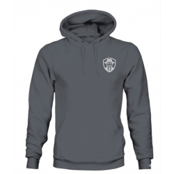 GameFuture Hoodie Gray – CS Edition